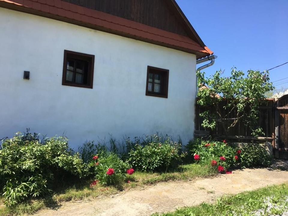 Miklos Lak Ocna de Sus Exterior foto